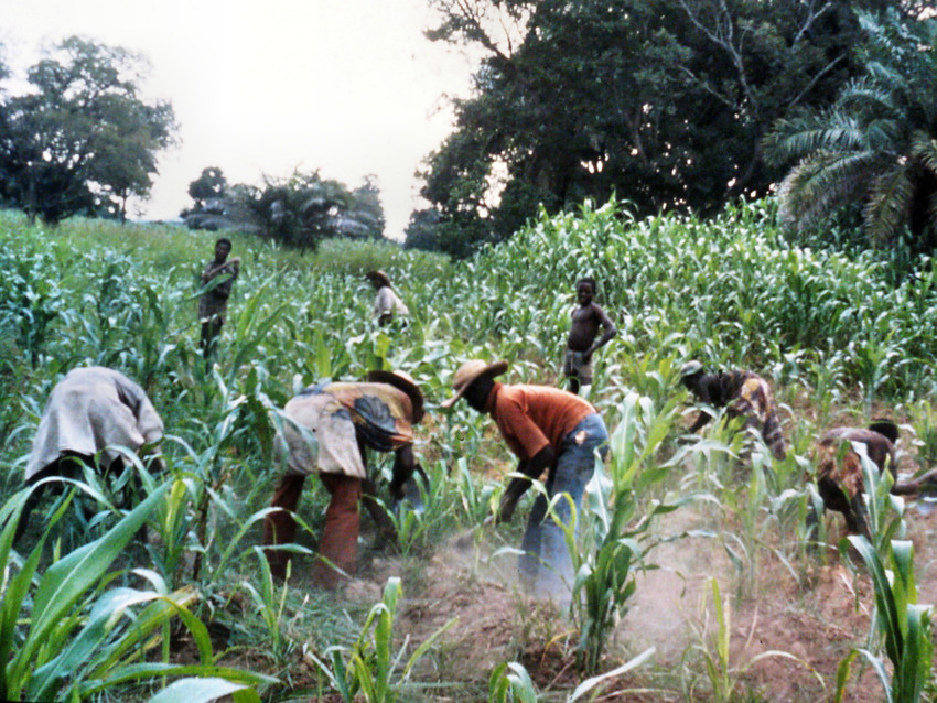 agriculture